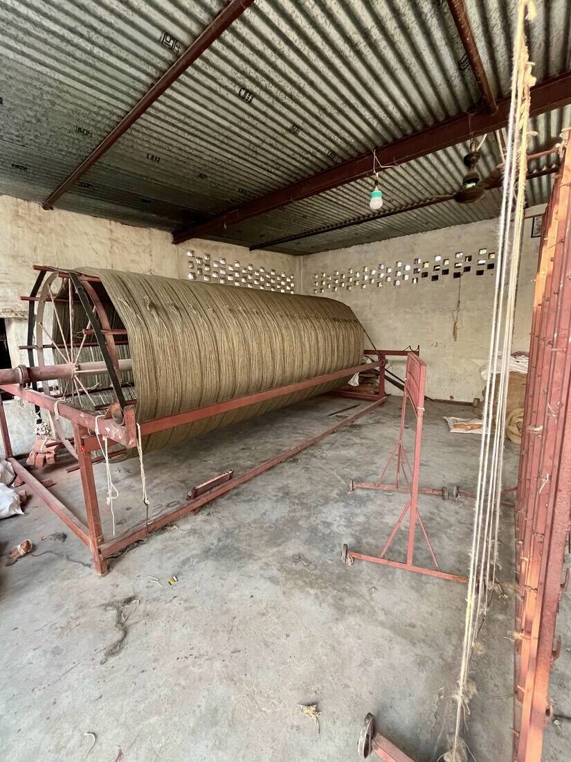 Warp (tana) wound on the beam, ready for weaving on the handloom